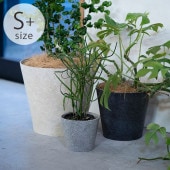 100percent 100�ѡ������ Earth Pot ��Υꥦ����������� S+ (4�桢5��ȭ)