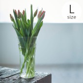 Horn Please �ۡ��� �ץ꡼�� ��塼�����饹 �磻���饤�� �ե��١��� �ޥ� ��