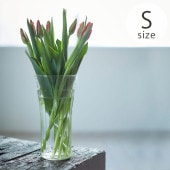 Horn Please �ۡ��� �ץ꡼�� ��塼�����饹 �磻���饤�� �ե��١��� �ޥ� S