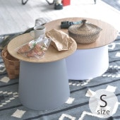 �ġ��ȥ� �饦��ɥơ��֥� S