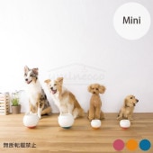 OPPO å FoodBall աɥܡ ߥ 7off