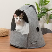MYZOO ޥ ǭѥ٥å NEKOSHARK ͥ㡼