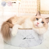 Gari Gari ꥬꥵ å㡼 ޡ֥