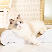 Gari Gari ꥬ꥽ե å㡼 ޡ֥