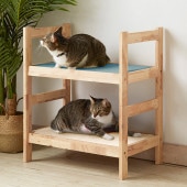 NATURAL SIGNATURE �ʥ����륷���ͥ��㡼 Cut-hus ����ȥϥ� �ڥåȥ٥å�