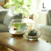 Horn Please �ۡ��� �ץ꡼�� ��塼�����饹 �ɡ��� �ס��ѥ� L