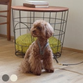 Horn Please �ۡ��� �ץ꡼�� ����������쥶�� DOG �ϡ��ͥ� ��� 2607sale
