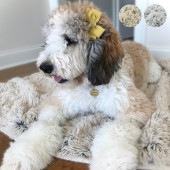 TALL TAILS �ȡ��� �ƥ��륺 �ɥ꡼����������� �����������ץ롼��