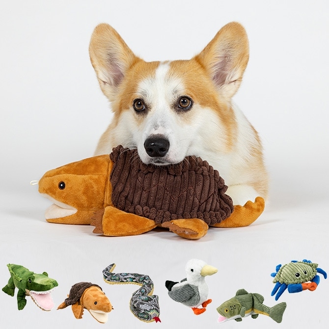 ドール用コンパニオンドッグ　ジュモウ　　スピッツ犬　フランスアンティーク ドール用コンパニオンドッグ ジュモウ スピッツ犬 フランス