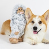 TALL TAILS �ȡ��� �ƥ��륺 ������ �ȥ� �����ƥ�