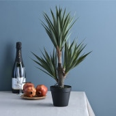 Brown. �֥饦�� ������ �������顼�� �ݥå� 58