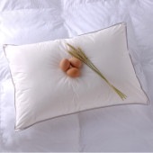 Danfill ����ե��� �ե��١��� �� NR-01619