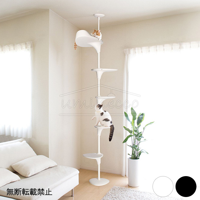 2冊 トレードへの取り組み方 キャットルズ 二冊セット！！キャット