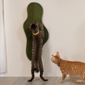 MYZOO ޥ Seawead ޤȤ