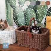 KLEANE ���졼�� �쥶���������� ���� ���������Х����å�