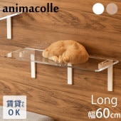 animacolle ���˥ޥ��� Catroad+ ���󥰥��ƥå� ��60cm