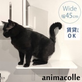 animacolle ���˥ޥ��� Catroad+ �磻�ɥ��ƥå� ��45cm �ۥ磻��