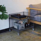 COLLEND ������ �磻�䡼�若�� �磻�ɡ����󥰥�