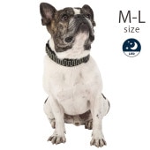 MANDARINE BROTHERS �ޥ�����֥饶���� �ʥ��ȥ�������LED���顼 ���� M-L �֥�å�