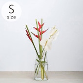 shesay ������ �ޤ�Τ��褱�䤹�� ��塼�����饹 �ե��١��� �ͥå� S