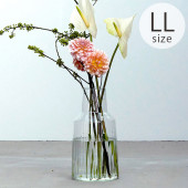 shesay  ޤΤڤ֤ޤǳ褱 塼饹 ե١ LL