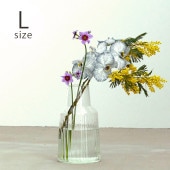 shesay  ޤΤڤ֤ޤǳ褱 塼饹 ե١ L