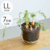 shesay  塼饹 ץ졼դ եݥå ơѡ LL