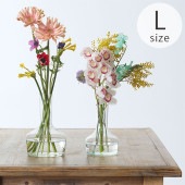 shesay ������ �֤�褱���� ��塼�����饹 ����ե� L