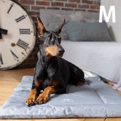 TALL TAILS �ȡ��� �ƥ��륺 ���졼�� �٥å� M