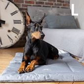 TALL TAILS �ȡ��� �ƥ��륺 ���졼�� �٥å� L