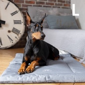 TALL TAILS �ȡ��� �ƥ��륺 ���졼�� �٥å� L