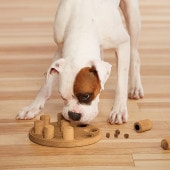 Nina Ottosson ˡʡåȥ ȥ꡼ġࡡޡ