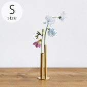 shesay ������ �⤵�ΰۤʤ륷���������¤�� BRASS�Υե��١��� S