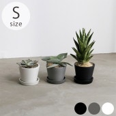 shesay ������ �����Ǻ�ǤǤ����ե��ݥå� S