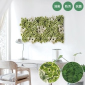 �ý������ƥ��ե�����륰�꡼�� �ɳݤ�Ϣ�� ñ��