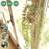 �ý������ƥ��ե�����륰�꡼�� �ϥ󥮥󥰡ߥ��饹���㡼