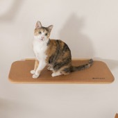 MYZOO �ޥ����� ����åȥ��ƥå� CORK ���륯