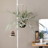 Brown. ֥饦 ե꡼ ӥ ϥ󥮥󥰥ܡ 60