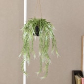 Brown. �֥饦�� �ե��������꡼�� ��ץ��ꥹ FL �ϥ󥮥󥰥ݥå�