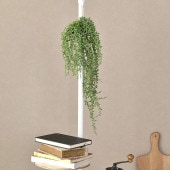 Brown. ֥饦 ե꡼ ꡼ͥå쥹 