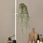 Brown. �֥饦�� �ե��������꡼�� ���ѥ˥å���⥹ �ϥ󥮥󥰥֥å��� ����С�