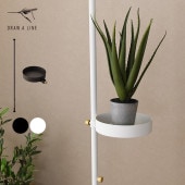 DRAW A LINE �ɥ������饤�� ���å�C+�ȥ쥤 ���å�