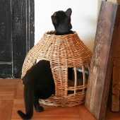 GROOM 롼 ͤϥ ˥BY THE AROROG