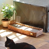 GROOM 롼 ޤȤХåȡBY THE AROROG