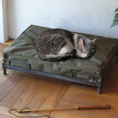 GROOM ���롼�� ��������٥å�