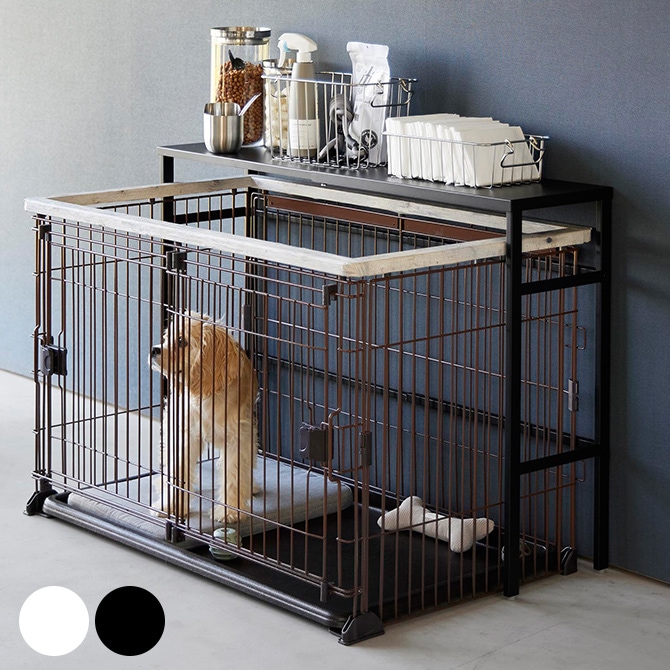 uuumページ1000gセット♪ uuumページ1000gセット♪ AZONE INTERNATIONAL::えっくす☆きゅ