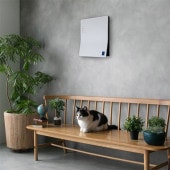 Kaltech ����ƥå� ������ɡ�����II �����޽��ݡ�æ���� �ɳݤ� 16��