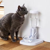 Bonbi �ܥ�� �饯�ꥢ������� 7off