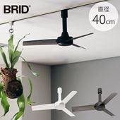 BRID �֥�å� GENERAL �����ȥ졼��ե��� DC�⡼���� �١����å� ľ��40cm 8off