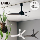 BRID �֥�å� GENERAL �����ȥ졼��ե��� DC�⡼���� �١����å� ľ��40cm